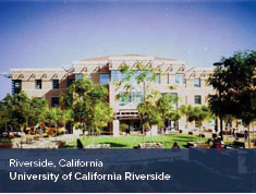 ADA Expert Witness Project Experience