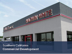 ADA Expert Witness Project Experience