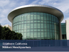 ADA Expert Witness Project Experience