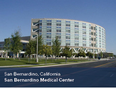 ADA Expert Witness Project Experience