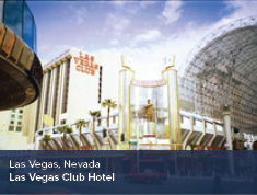 ADA Expert Witness Project Experience