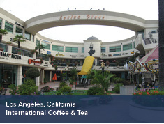 ADA Expert Witness Project Experience